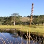 Zlatibor (3)